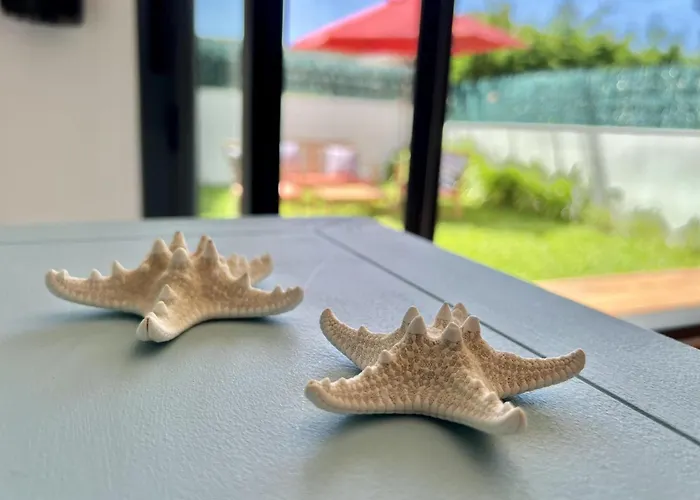 Appartement Prado Grande - Monabri