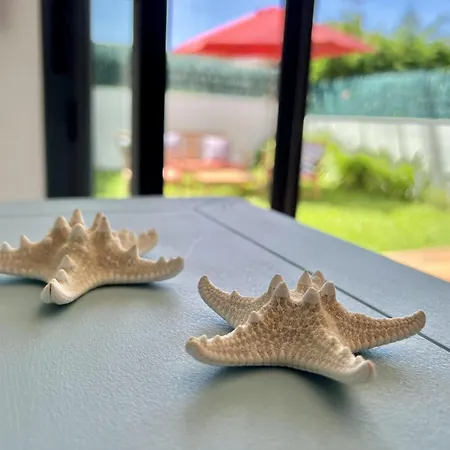 Appartement Prado Grande - Monabri